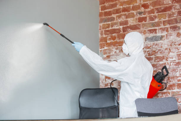 Wappingers Falls, NY Mold Removal Company