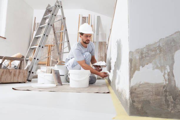 Best Attic Mold Removal  in Wappingers Falls, NY