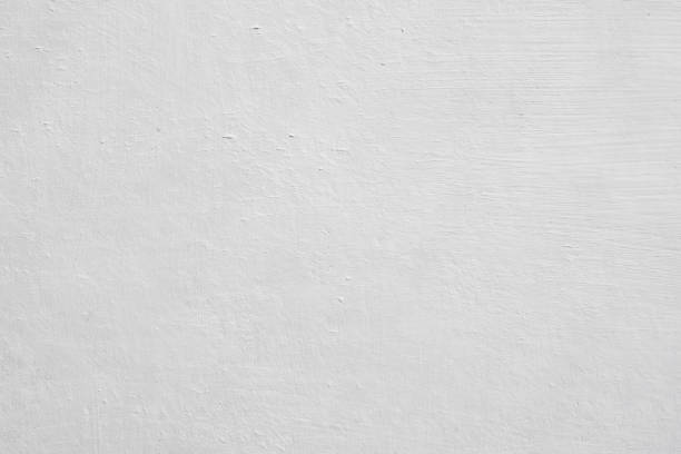 Best Basement Mold Removal  in Wappingers Falls, NY